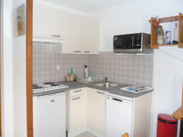 Eyssallarettes 35166 - Puy Saint Vincent