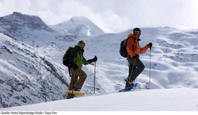 Hotel Alpenlodge Etoile - Saas - Fee