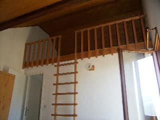 Soldanelles 35257 - Puy Saint Vincent