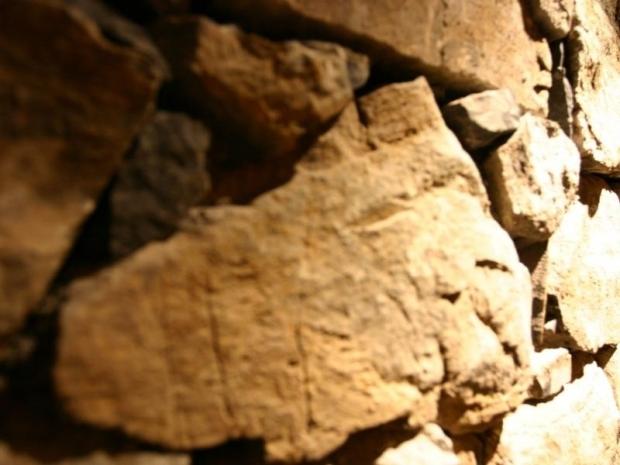 Appartement Le Cortina - Les Deux Alpes Venosc