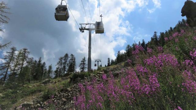 Appartement Chataigniers 309 CHAT 309 HAM - Isola 2000