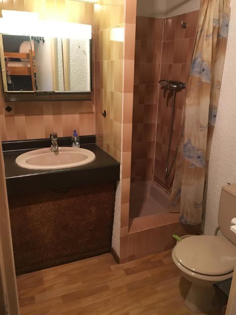 Appartements CHAMPAME 56000870 - Les Deux Alpes Centre
