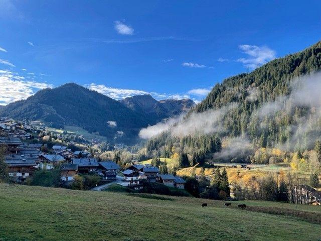 CHALET L'alpaga D - Châtel