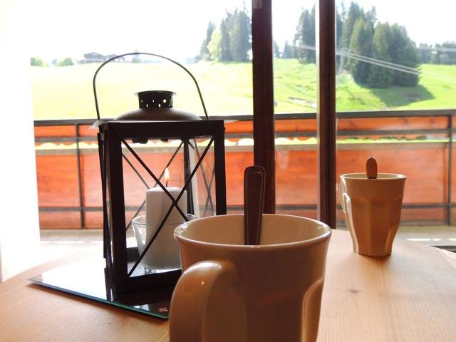 Appartement T2 au pied des pistes, cœur de village - 3 étoiles - 4 personnes FR-1-598-65 - Les Gets