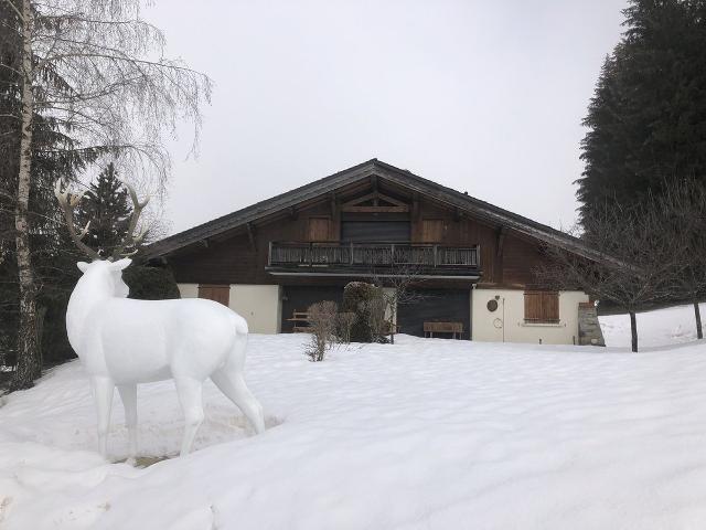 3 pièces en rez de jardin - Megève