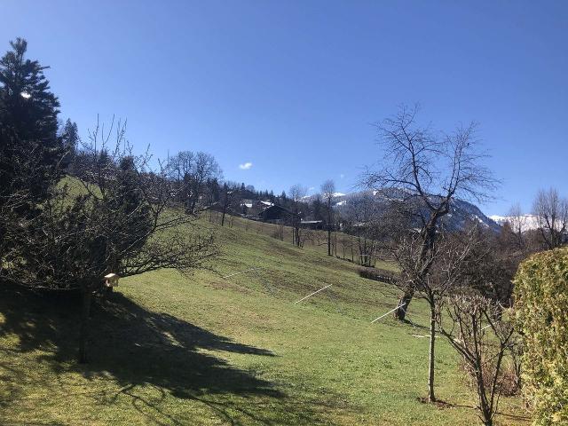 3 pièces en rez de jardin - Megève