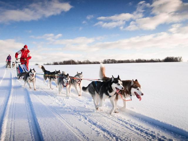3 pièces en rez de jardin - Megève