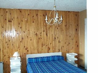 Queyrelet 3 36576 - Orcières Merlette 1850