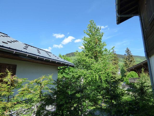 Agréable appartement au centre du village avec jardin privatif - Megève