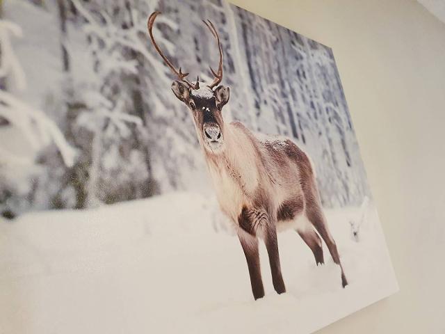 Les Chalets Des Rennes CDRA53 - Vars