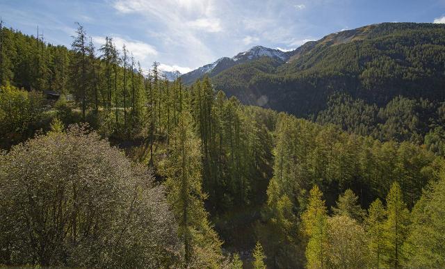 Appartement Les Flocons FLO307 - Les Orres