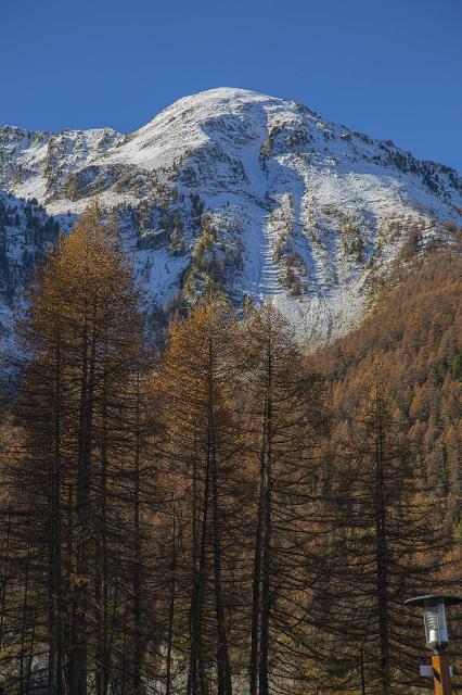 Appartement Les Terrasses Du Soleil D'or TSO3104 - Les Orres