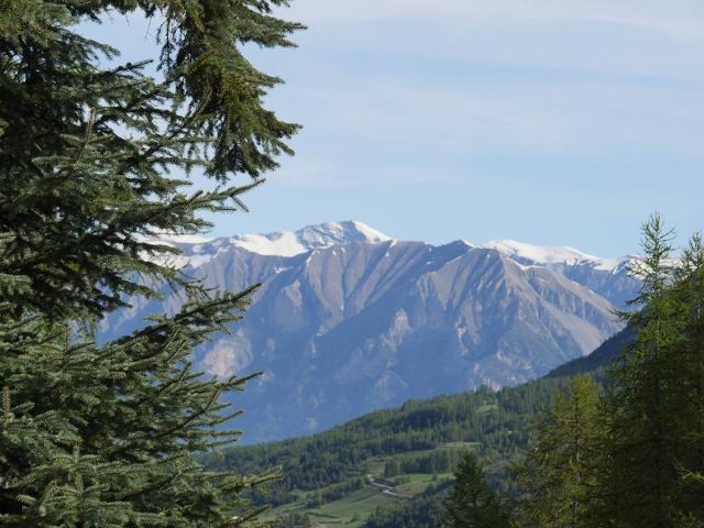 Appartement Le Balcon Des Airelles BDA516 - Les Orres