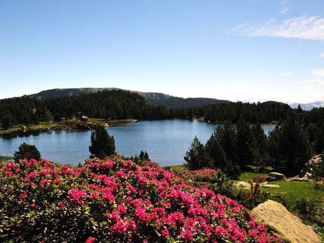Résidence MOUFLONS CHEVREUILS - Font Romeu - Pyrénées 2000