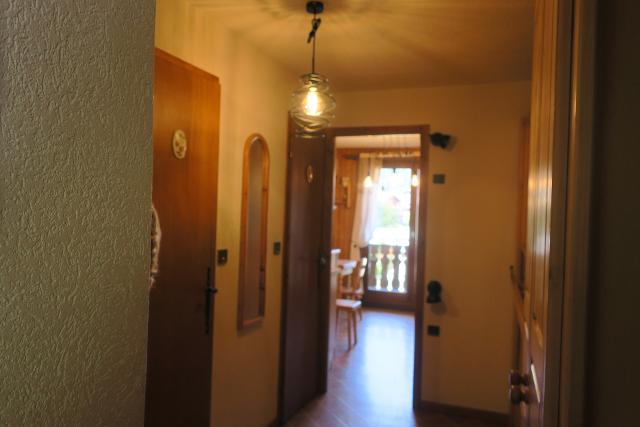 Appartements Les Balcons Du Lac - Châtel