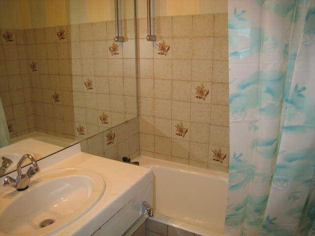 Chat perché (le) 18698 - Alpe d'Huez