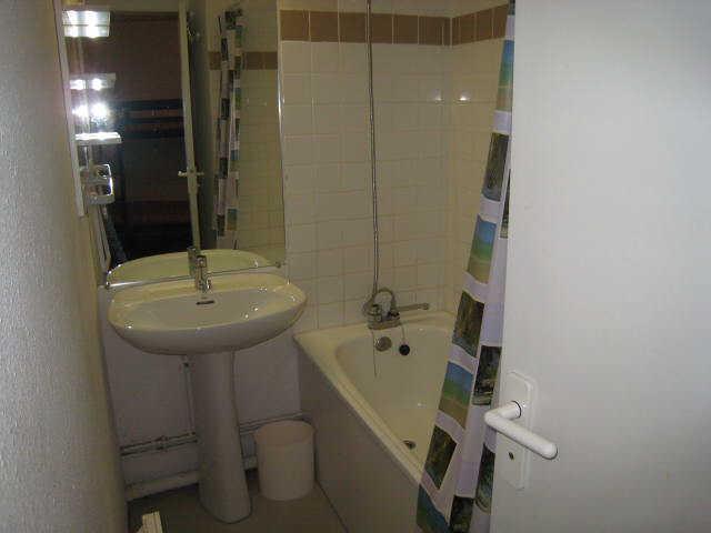 Mélèzes (les) 18766 - Alpe d'Huez