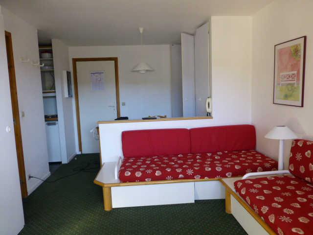 Ours blanc (l') 18792 - Alpe d'Huez