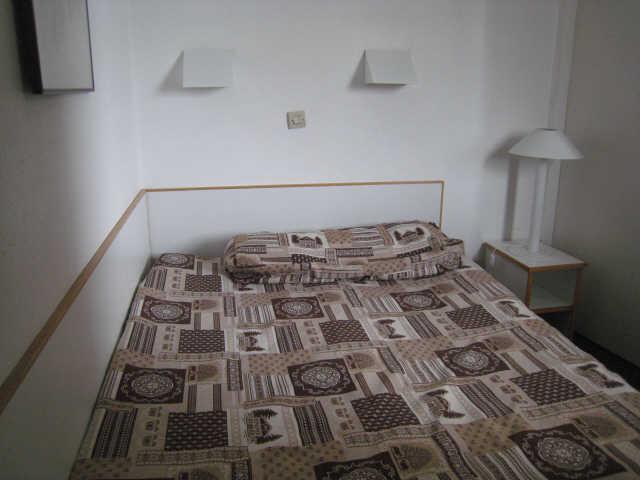 Ours blanc (l') 18792 - Alpe d'Huez