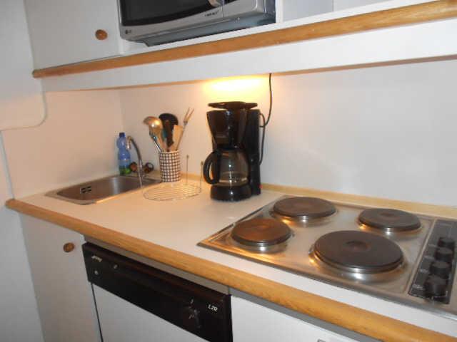 Ours blanc (l') 18792 - Alpe d'Huez