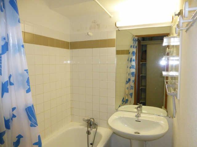 Mélèzes (les) 23345 - Alpe d'Huez