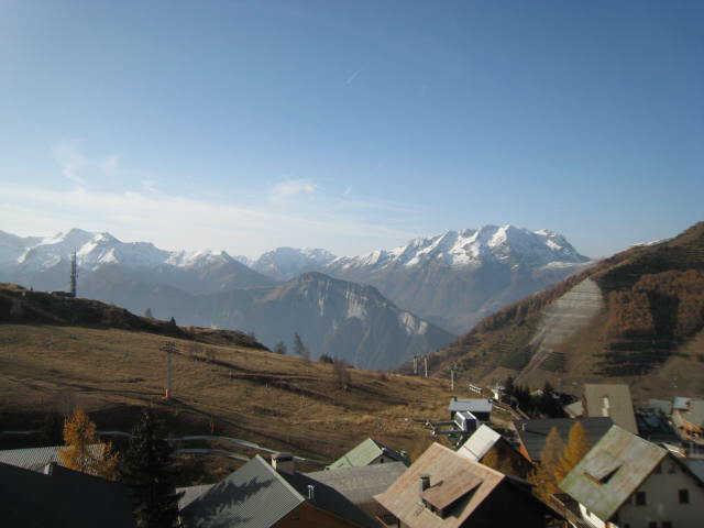 Ours blanc (l') 23511 - Alpe d'Huez
