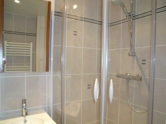 Ours blanc (l') 23511 - Alpe d'Huez