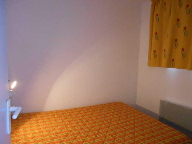 Mélèzes (les) 42088 - Alpe d'Huez