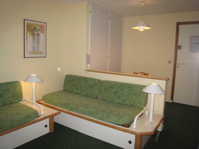 Ours blanc (l') 42906 - Alpe d'Huez