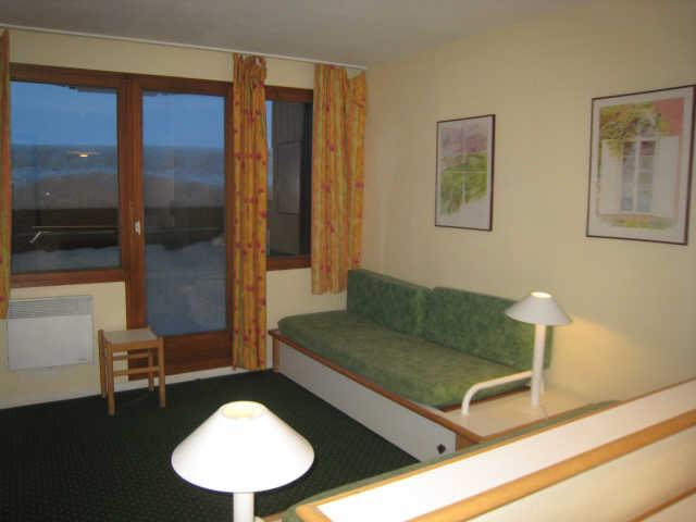 Ours blanc (l') 42906 - Alpe d'Huez