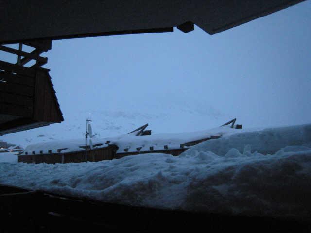 Ours blanc (l') 42906 - Alpe d'Huez