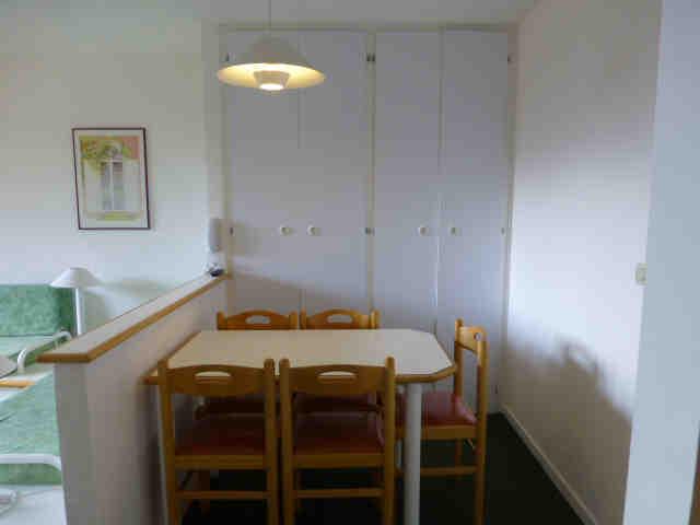 Ours blanc (l') 42906 - Alpe d'Huez