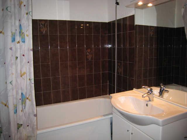 Ménandière (la) 5353 - Alpe d'Huez