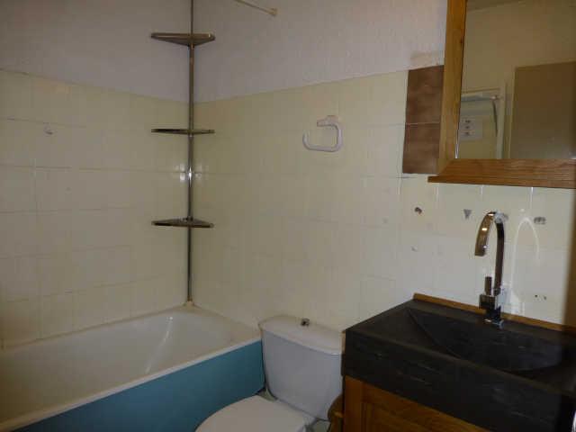 Ménandière (la) 5357 - Alpe d'Huez