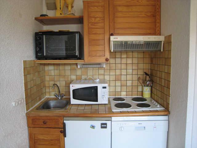 Lauvitel (le) 6607 - Alpe d'Huez