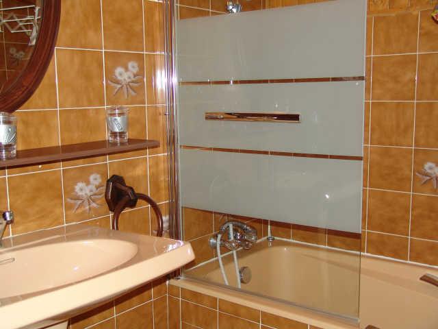 L' Alpenlake 16484 - Châtel