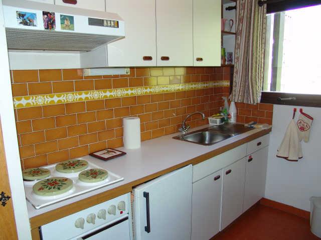 Les Rhododendrons 16490 - Châtel