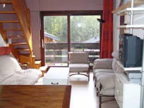 Les Portes du Soleil 16493 - Châtel