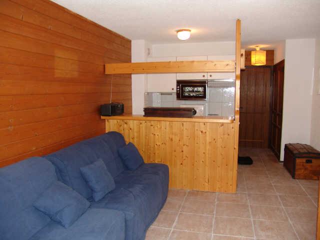 Le Moulin 16864 - Châtel