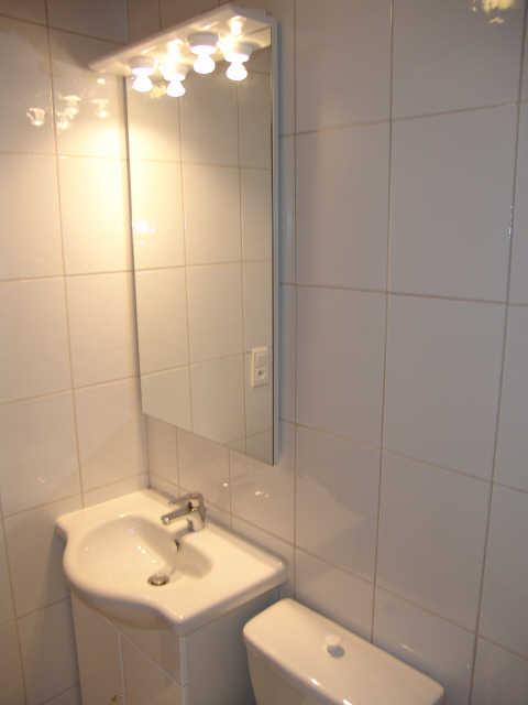 Le Moulin 16864 - Châtel