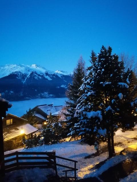 LES CHALETS DU PLANAY - Plagne Montalbert