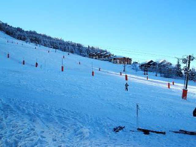 Christiana 45109 - Plagne Montalbert