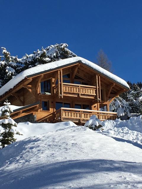 Le chalet d'Aramis - Les Gets