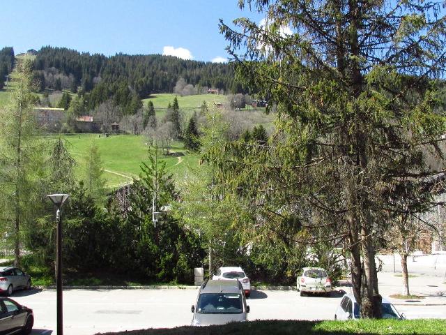 Appartement Le Lion d'Or - Les Gets