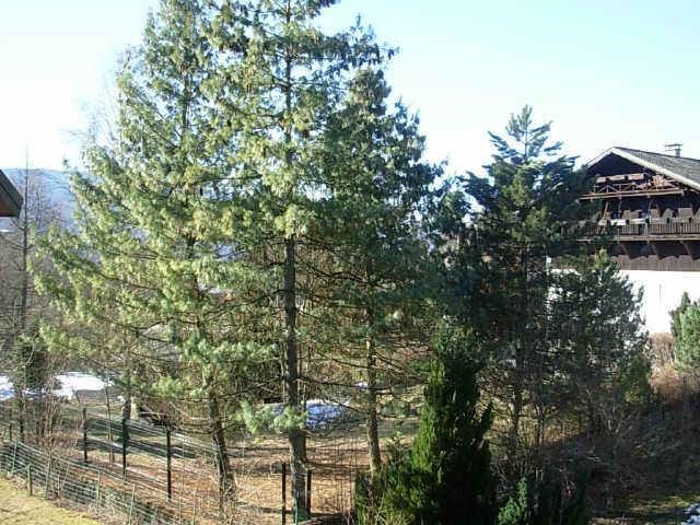 Moulins 13305 - Samoëns