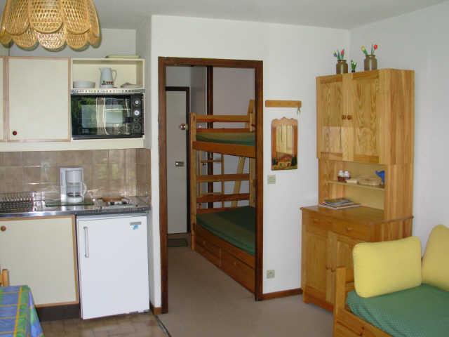 Dorines 14358 - Samoëns