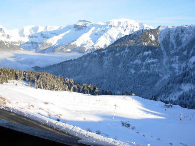 Cimes 17831 - Samoëns