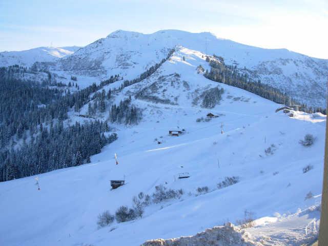 Cimes 17831 - Samoëns