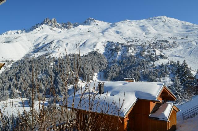 Chalet Antares 695 - Méribel Les Allues 1200