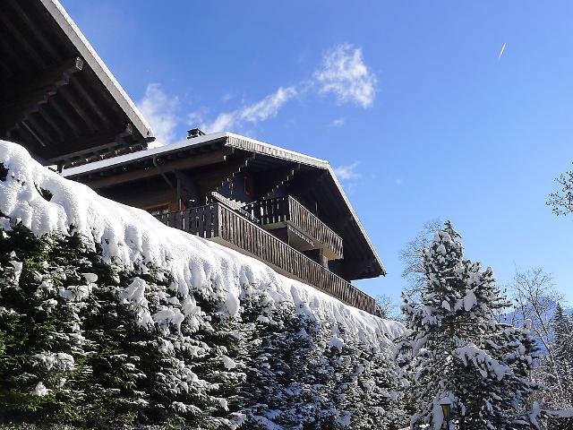 Chalet Les Bruyères 2 - Villars - sur - Ollons 
